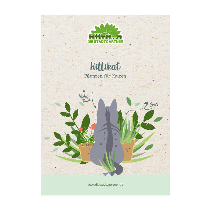 Illustration einer grauen Katze, die sich zwischen Zimmerpflanzen umdreht, auf einem Flyer von "Die Stadtgärtner" mit dem Titel "Kittikat - Pflanzen für Katzen".