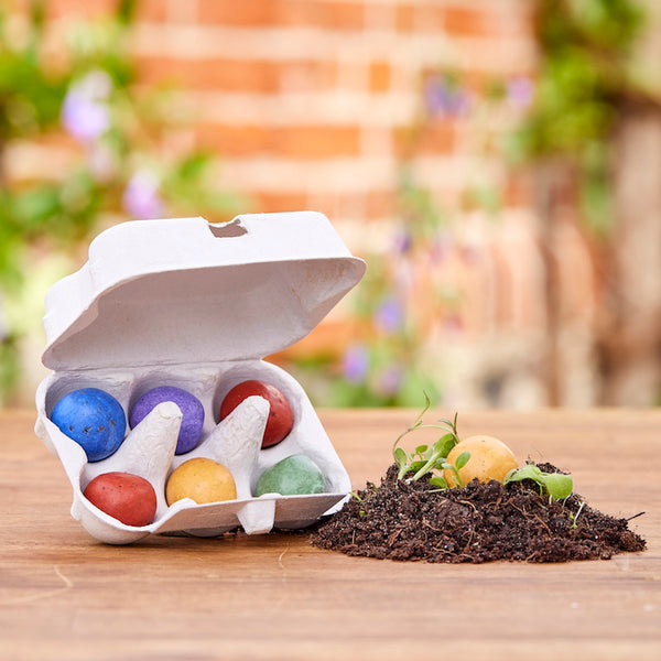 5 Large flower marbles in a quail egg carton
