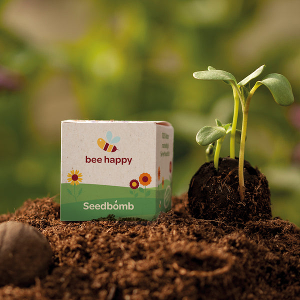 Seed bomb 4x4x4 cm packaging cube