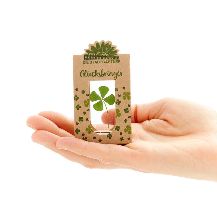 Eine Hand hält eine kleine Verpackung mit einem vierblättrigen Kleeblatt und der Aufschrift „Glücksbringer“.