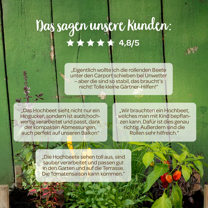 Kundenrezensionen über Hochbeete vor einer grünen Holzwand, darunter Pflanzen und Tomaten, mit einer Bewertung von 4,8 von 5 Sternen.