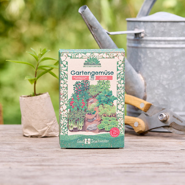 Packung Gartengemüse-Saatgut auf einem Holztisch, daneben eine kleine Pflanze, eine Gießkanne und eine Gartenschere im Hintergrund.