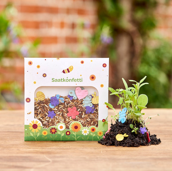 Seeds and seed paper confetti in a case