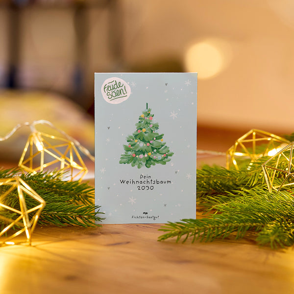 Spruce seeds "Christmas Tree 2030"