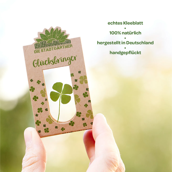 Glücksbringer gegen das Licht gehalten