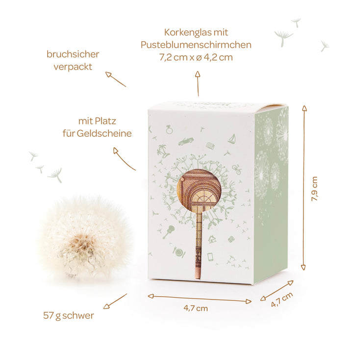 Geschenkbox mit Pusteblumenmotiv, daneben eine echte Pusteblume, Maße, Gewicht und Besonderheiten wie bruchsichere Verpackung und Platz für Geldscheine sind grafisch hervorgehoben.