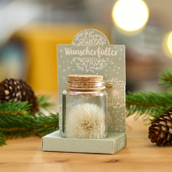 Ein Glas mit Korken, das eine Pusteblume enthält, steht auf einem Holz­tisch neben Tannenzweigen und Zapfen.