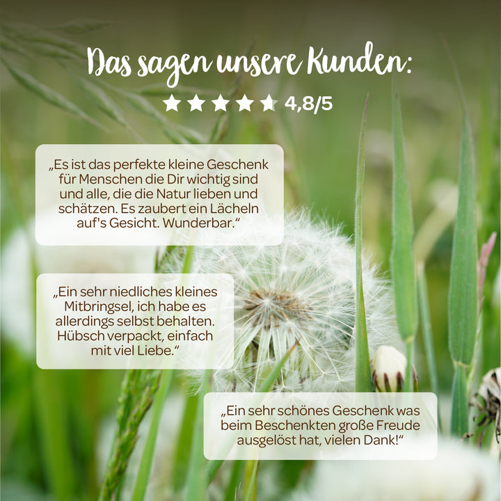 Bewertungen von Kunden über ein Naturgeschenk, Bewertung 4,8 von 5 Sternen, auf einem Hintergrund mit Löwenzahn und grünem Gras.