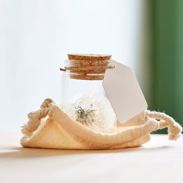 Whole dandelions in a glass