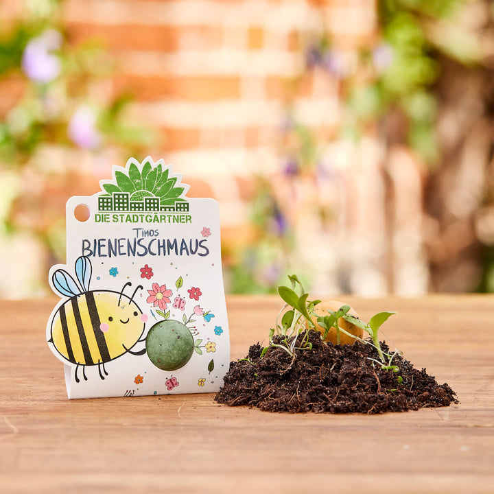 Eine Packung „Timos Bienenschmaus“ von den Stadtgärtnern mit einer gezeichneten Biene neben einem kleinen Haufen Erde mit jungen Pflanzen.