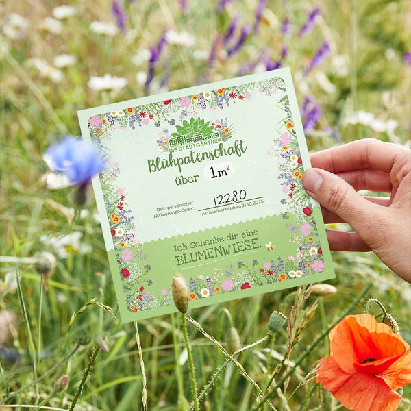 Flowering meadow sponsorship