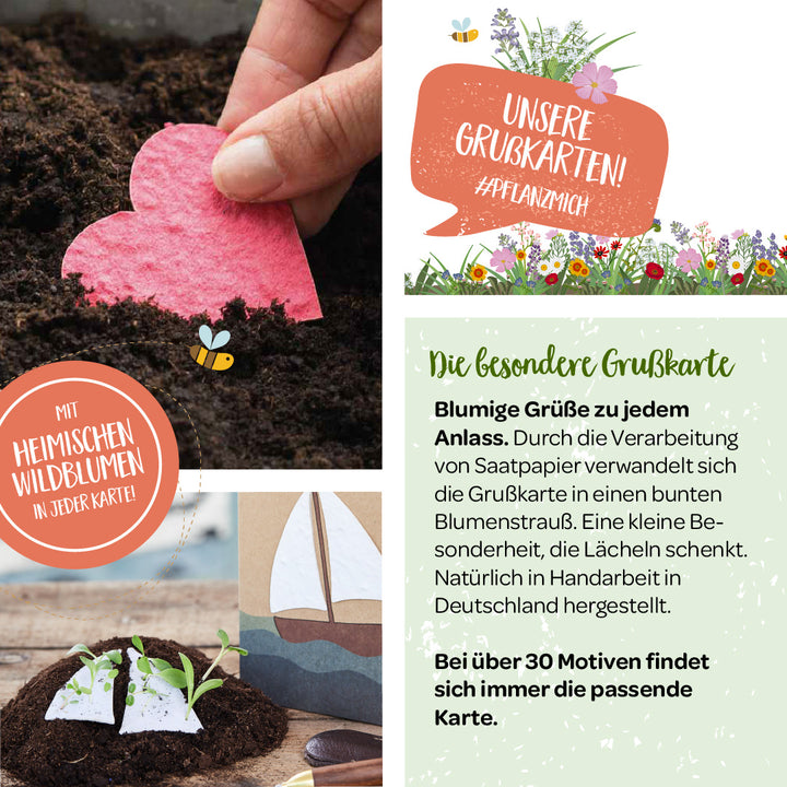 Eine Collage zu pflanzbaren Grußkarten mit heimischen Wildblumen, einschließlich einer Hand, die eine herzförmige Karte in Erde einpflanzt, und verschiedenen Designbeispielen.